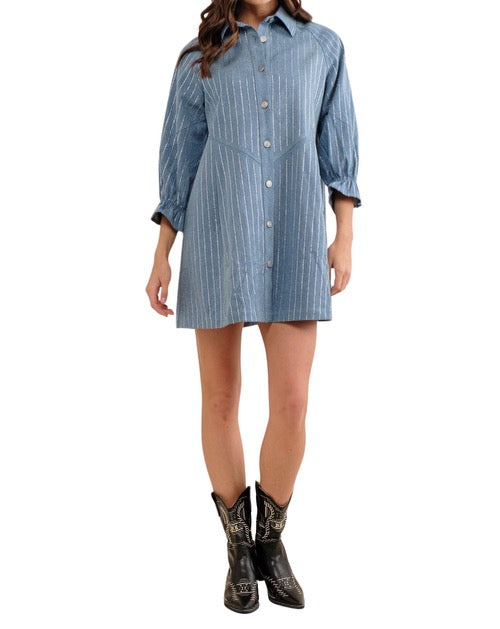 Sparkle Stripe Denim Dress