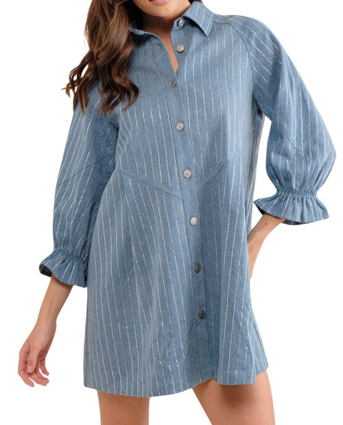 Sparkle Stripe Denim Dress